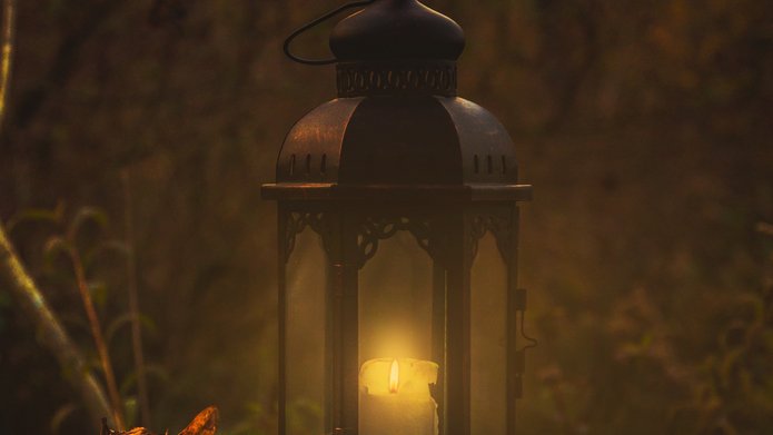Autumn in the woods