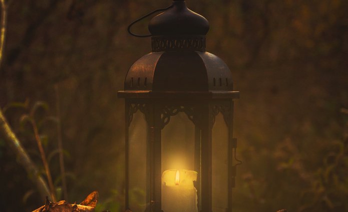Autumn in the woods